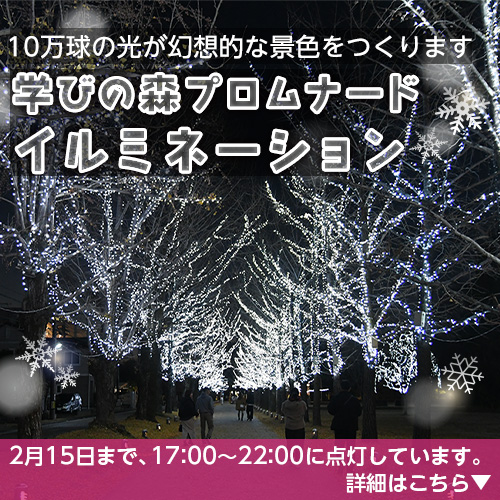 学びの森でイルミネーション