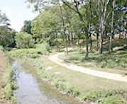 河跡湖公園の写真