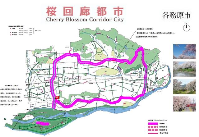 桜回廊都市の地図