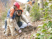 里山の再生の写真