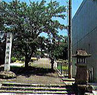 赤坂神社の写真