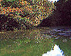 三ツ池の写真