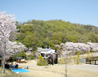 三井山公園の写真