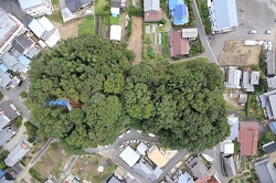 坊の塚古墳の航空写真