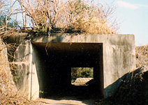 誘導路トンネルの写真