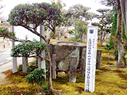山田寺塔心礎の写真