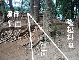 写真4