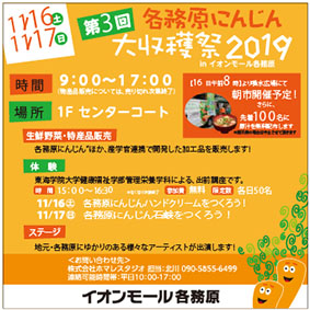イオンチラシ