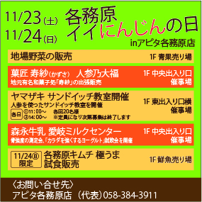 アピタチラシ