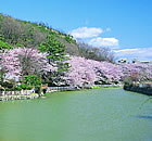 三井池公園の写真