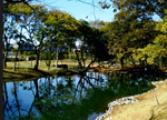 河跡湖公園地区の写真
