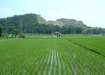 各務山西部地区写真