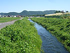 境川沿い地区の写真