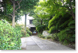 森の中の佇まい　松尾邸の写真