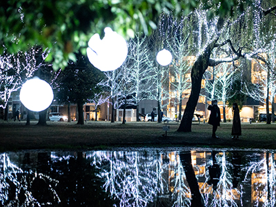 イルミネーションが点灯している公園の写真