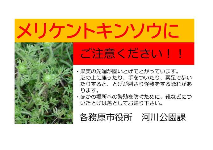 メリケントキンソウの注意喚起の表示です。