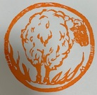 イメージ写真