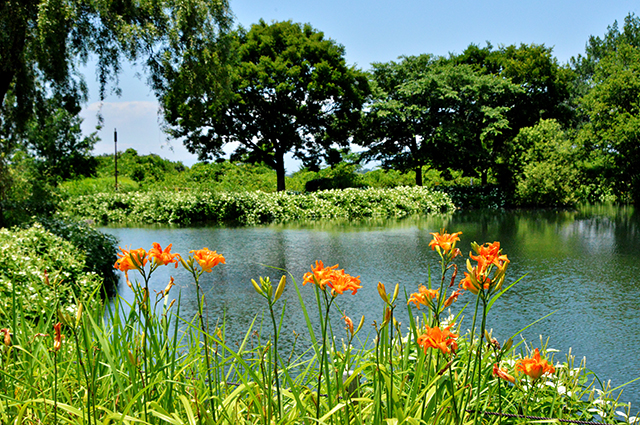 「河川環境楽園」の写真