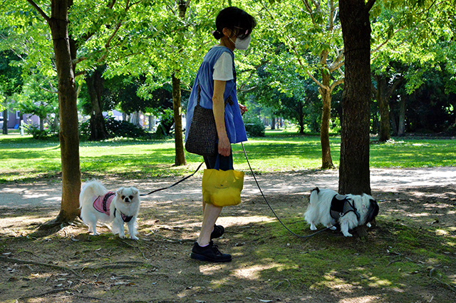 「学びの森」の写真