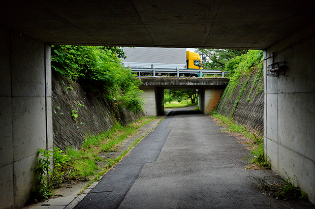 「蘇原自然公園周辺」の写真