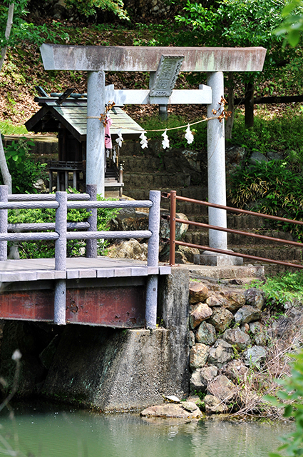 「三井山」の写真