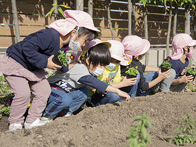 花の苗を植える保育園児らの写真