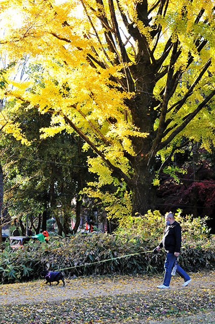 「市民公園・学びの森風景」の写真