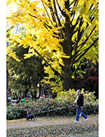 「市民公園・学びの森風景」のサムネイル画像