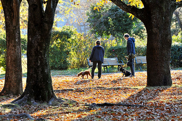 「市民公園・学びの森風景」の写真