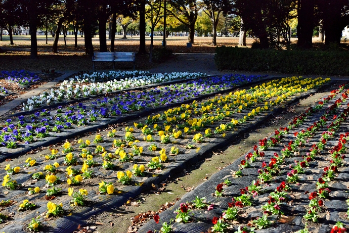 「市民公園・学びの森風景」の写真