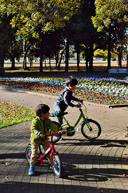 「市民公園・学びの森風景」の写真