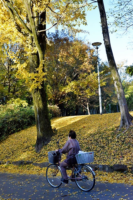 「市民公園・学びの森風景」の写真