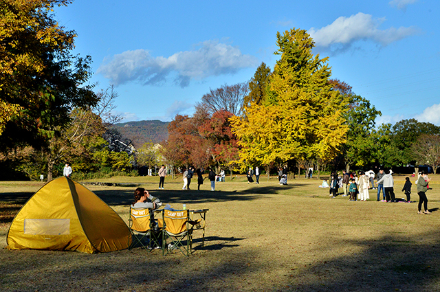 「市民公園・学びの森風景」の写真