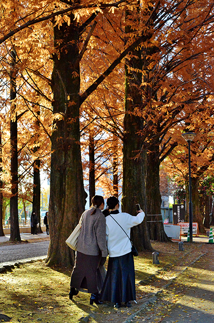 「市民公園・学びの森風景」の写真