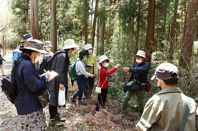 「植物博士と歩く！春の植物観察会〜スミレ～」の写真