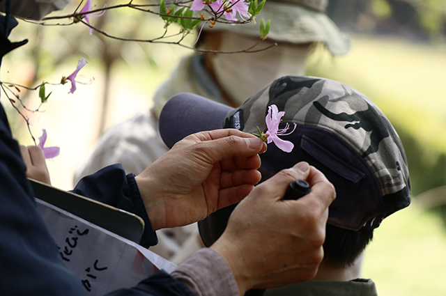 「植物博士と歩く！春の植物観察会〜スミレ～」の写真