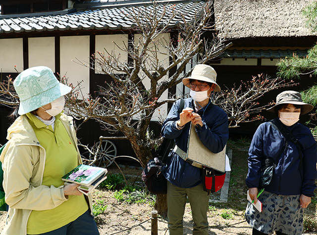 「植物博士と歩く！春の植物観察会〜スミレ～」の写真