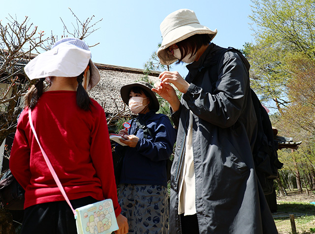 「植物博士と歩く！春の植物観察会〜スミレ～」の写真