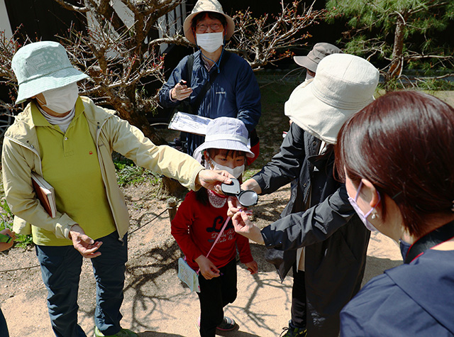 「植物博士と歩く！春の植物観察会〜スミレ～」の写真