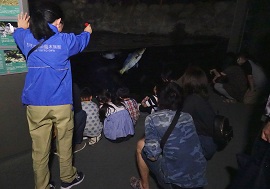 水辺の環境教室