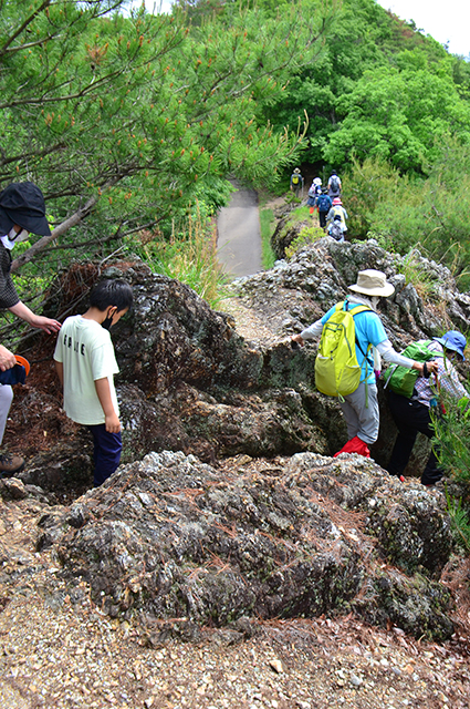 自然体験塾 新緑の「明王山」トレッキングの写真