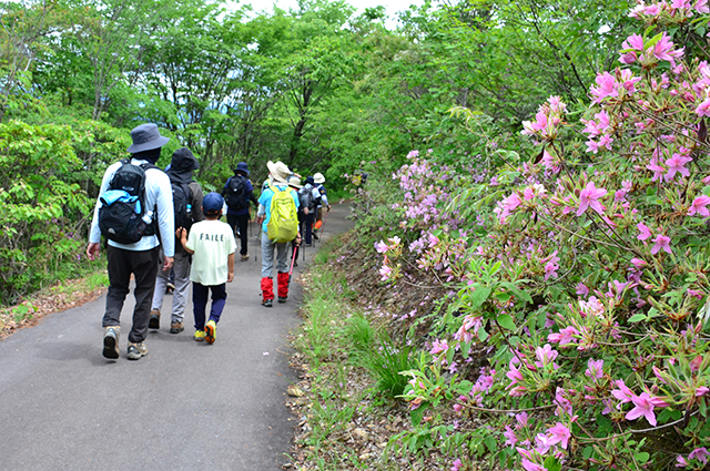 自然体験塾 新緑の「明王山」トレッキングの写真