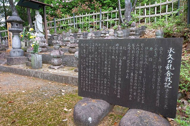 「承久の乱合戦供養塔と猿尾（石積みの堤防）見学」の写真