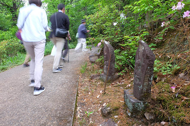 「承久の乱合戦供養塔と猿尾（石積みの堤防）見学」の写真