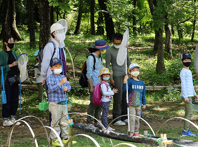 自然体験塾「晩春の昆虫おもしろ楽習」の写真