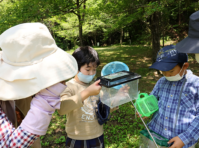 自然体験塾「晩春の昆虫おもしろ楽習」の写真