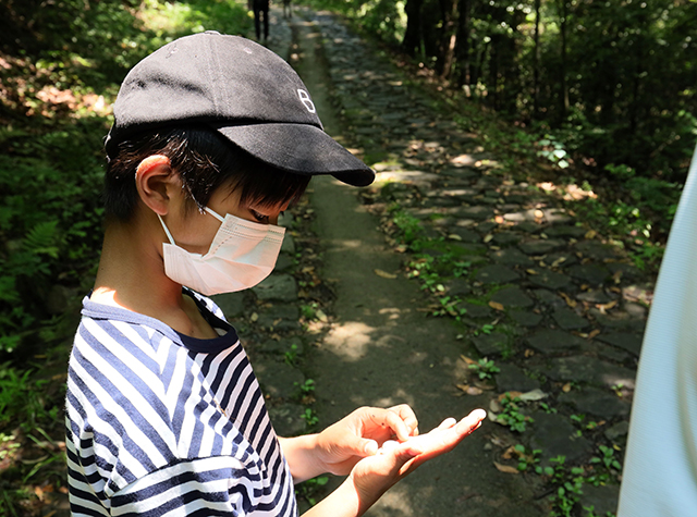 自然体験塾「晩春の昆虫おもしろ楽習」の写真