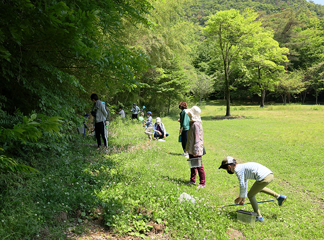 自然体験塾「晩春の昆虫おもしろ楽習」の写真