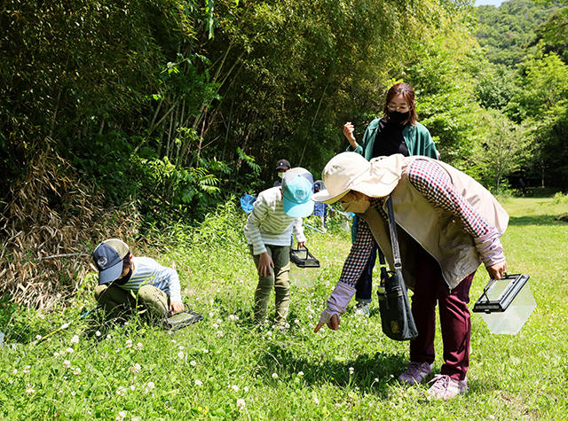 自然体験塾「晩春の昆虫おもしろ楽習」の写真