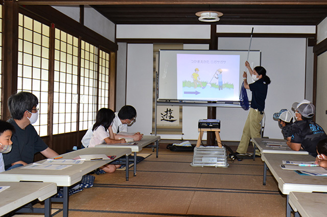 自然体験塾「小川」の生きもの観察会の写真